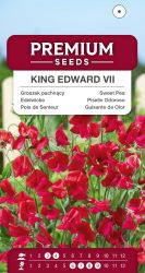 Sweet Pea King Edward VII Seed